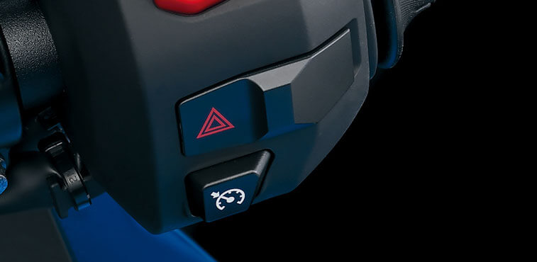 CRUISE CONTROL SYSTEM