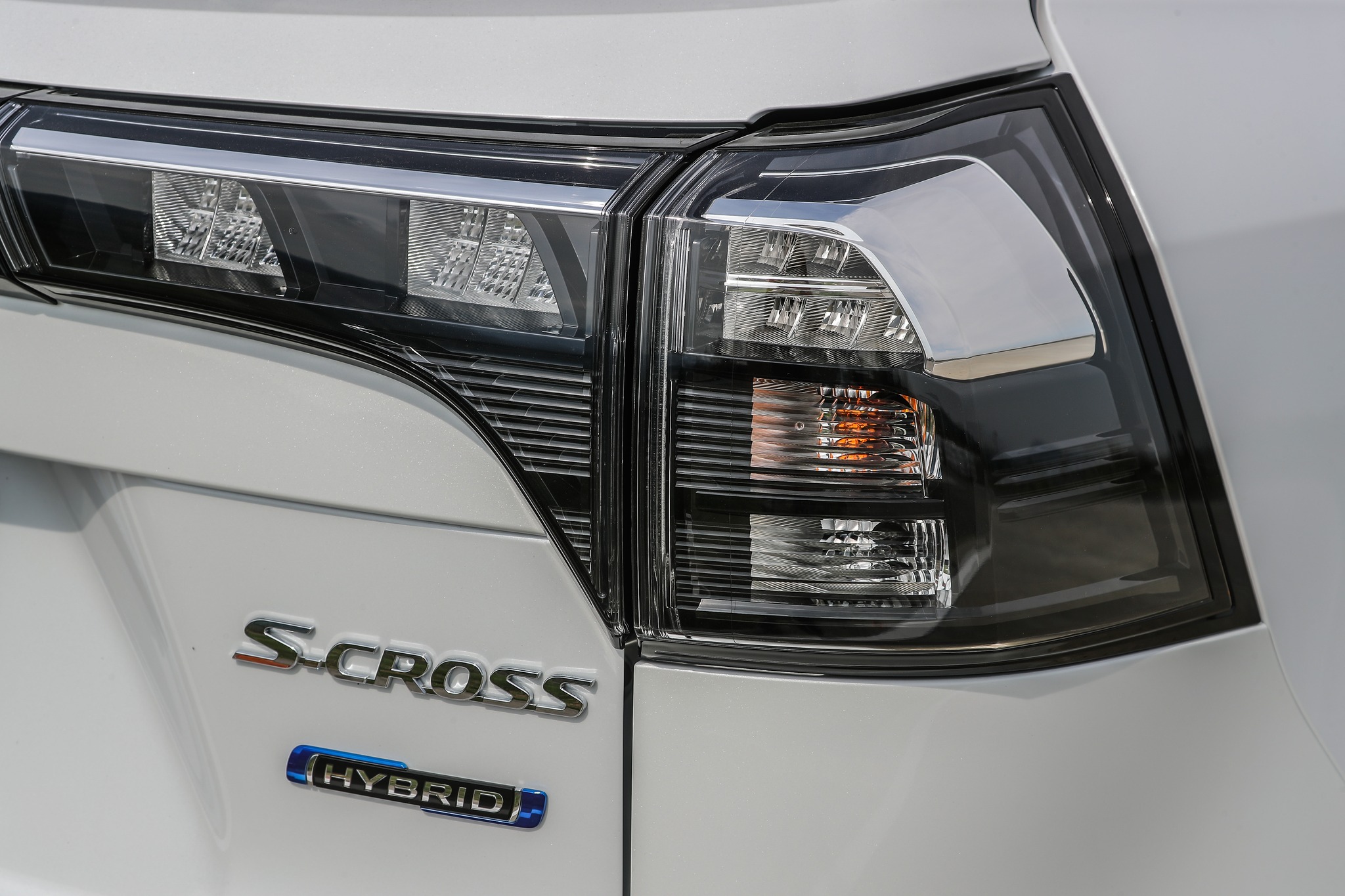 347563882 646588337503253 4756864037736587915 n